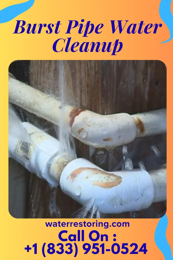 Burst Pipe Water Cleanup in Adrian, MI
