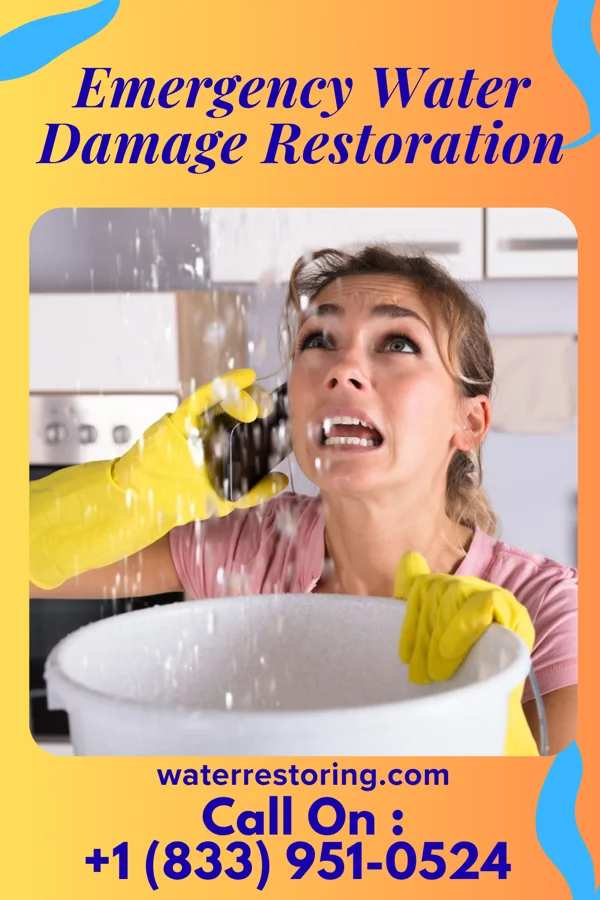 Emergency Water Damage Restoration in Adrian, MI