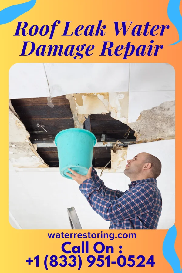 Roof Leak Water Damage Repair in Adrian, MI